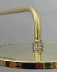 brass Showerhead with on a gray background