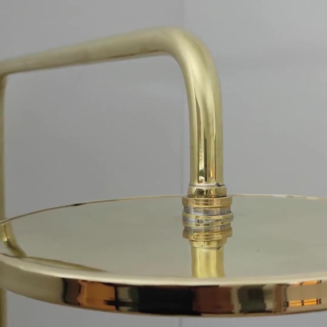 brass Showerhead with on a gray background