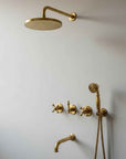 Unlacquered Brass Shower System